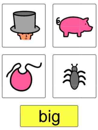 Response plate for decoding: big, pig, bib, bug.